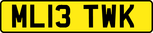 ML13TWK