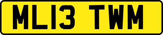 ML13TWM
