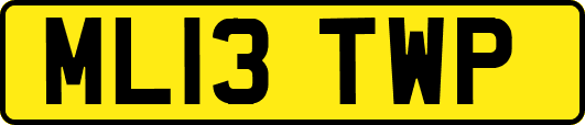 ML13TWP