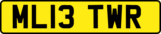 ML13TWR