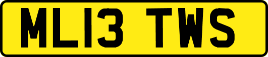 ML13TWS