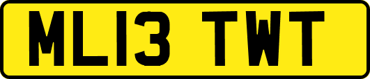 ML13TWT