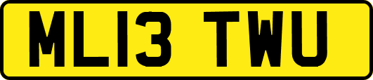 ML13TWU
