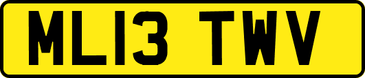 ML13TWV