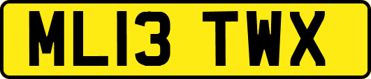 ML13TWX