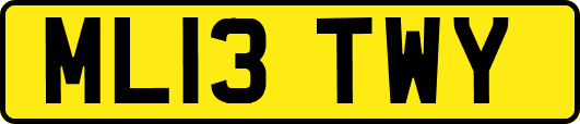 ML13TWY