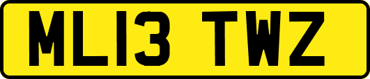 ML13TWZ