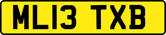 ML13TXB