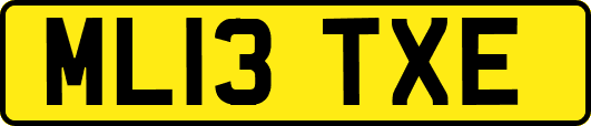 ML13TXE