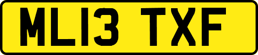 ML13TXF