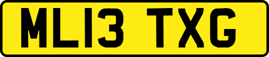 ML13TXG
