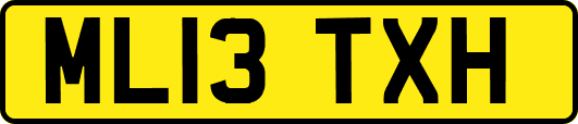 ML13TXH