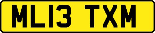 ML13TXM