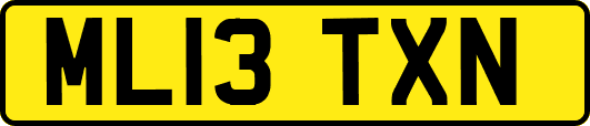 ML13TXN