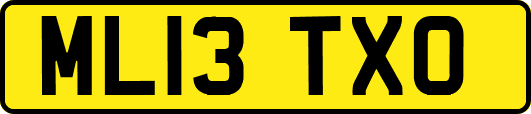 ML13TXO