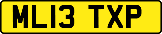 ML13TXP