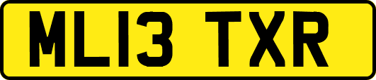 ML13TXR