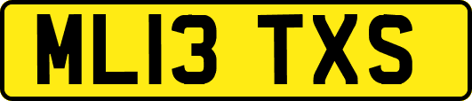 ML13TXS