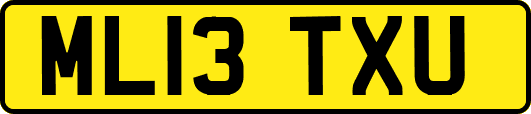 ML13TXU