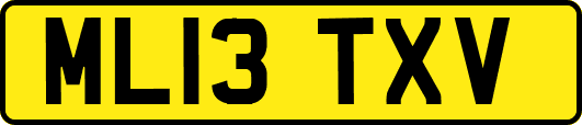 ML13TXV