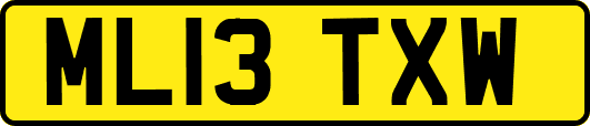 ML13TXW