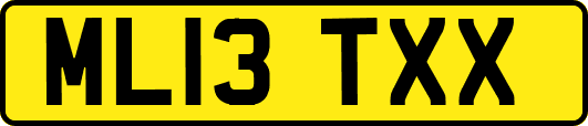 ML13TXX