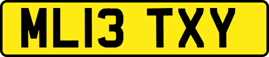 ML13TXY