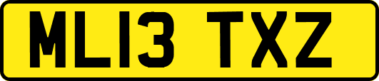 ML13TXZ