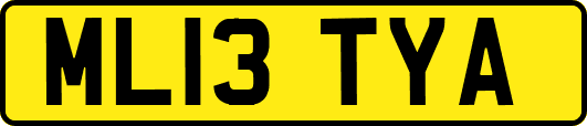 ML13TYA
