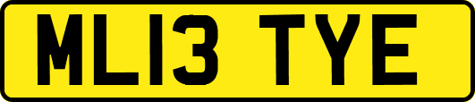 ML13TYE