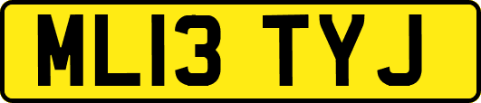 ML13TYJ