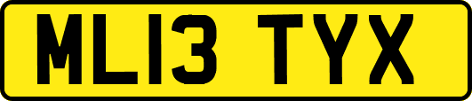 ML13TYX