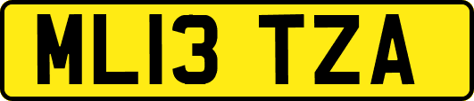 ML13TZA