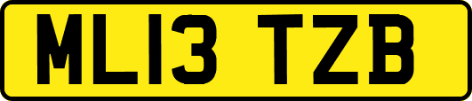 ML13TZB