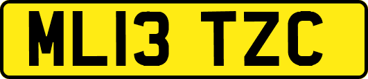 ML13TZC