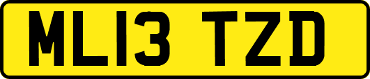 ML13TZD