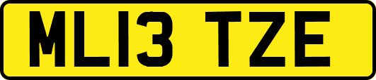 ML13TZE