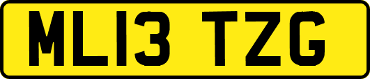 ML13TZG