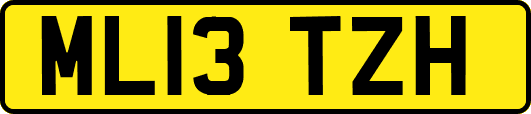 ML13TZH