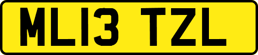ML13TZL