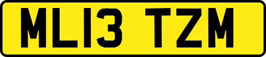 ML13TZM