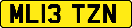 ML13TZN