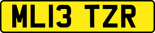 ML13TZR