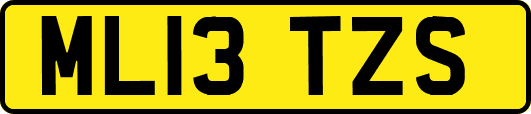 ML13TZS