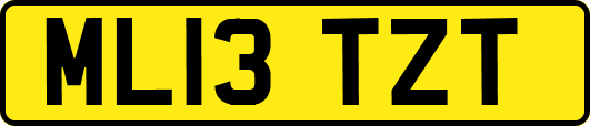 ML13TZT