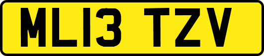 ML13TZV
