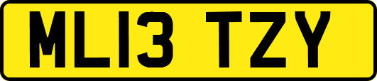 ML13TZY