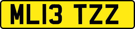 ML13TZZ
