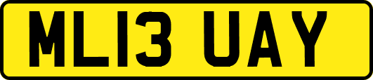 ML13UAY