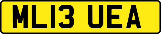 ML13UEA
